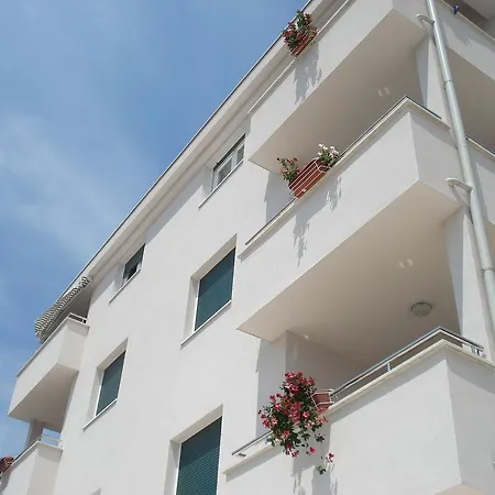 Life Trogir